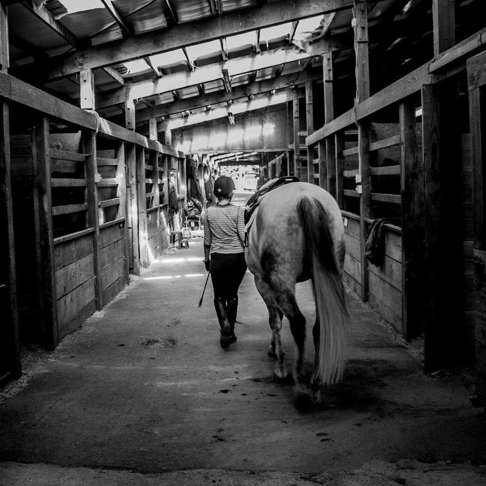 Meet your Posher, Amy